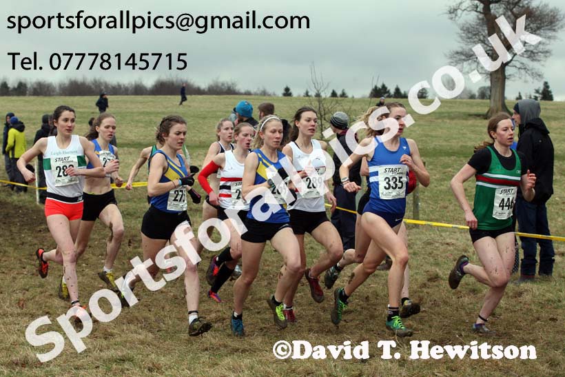 Senior women, 2018 Northern Cross Country Champs., Harewood House, Leeds. Photo: David T. Hewitson/Sports for All Pics